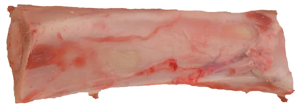 Buffalo Marrow Bone Leg
